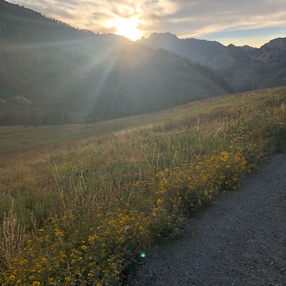 Meet your Posher, Sierra